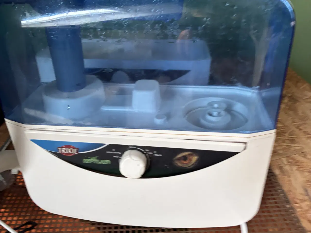 Billede 11 - Kongepyton Banana leopard 100% het clown