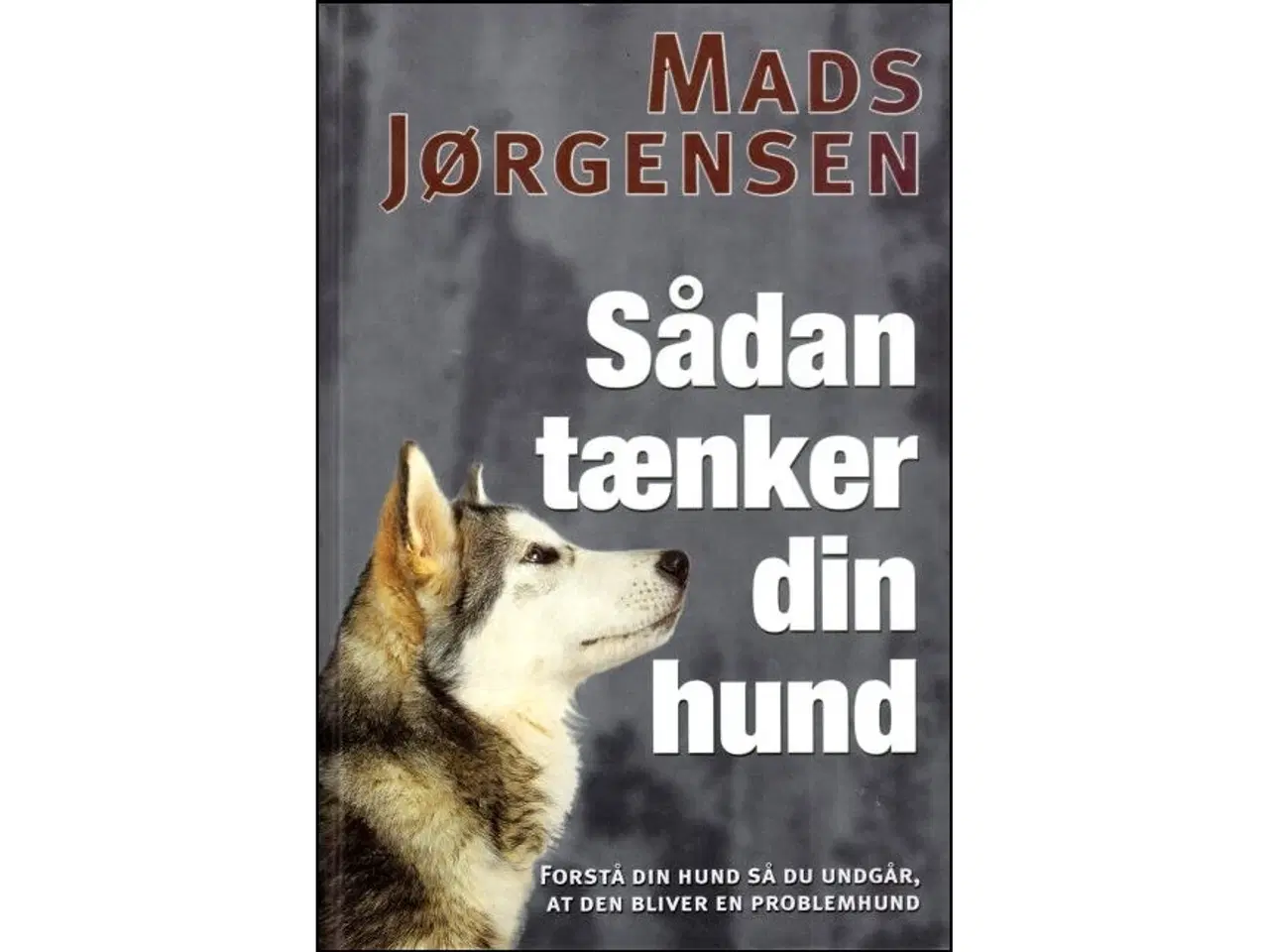 Billede 1 - Sådan tænker din Hund