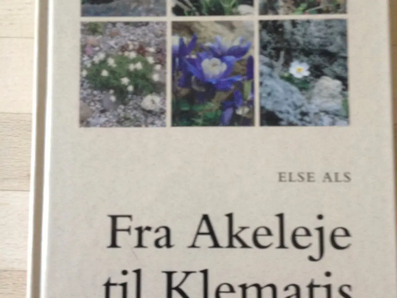 Billede 1 - Fra Akeleje til Klematis af Else Als