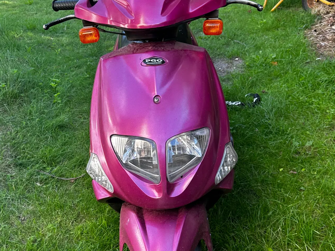 Billede 2 - Pgo t rex 