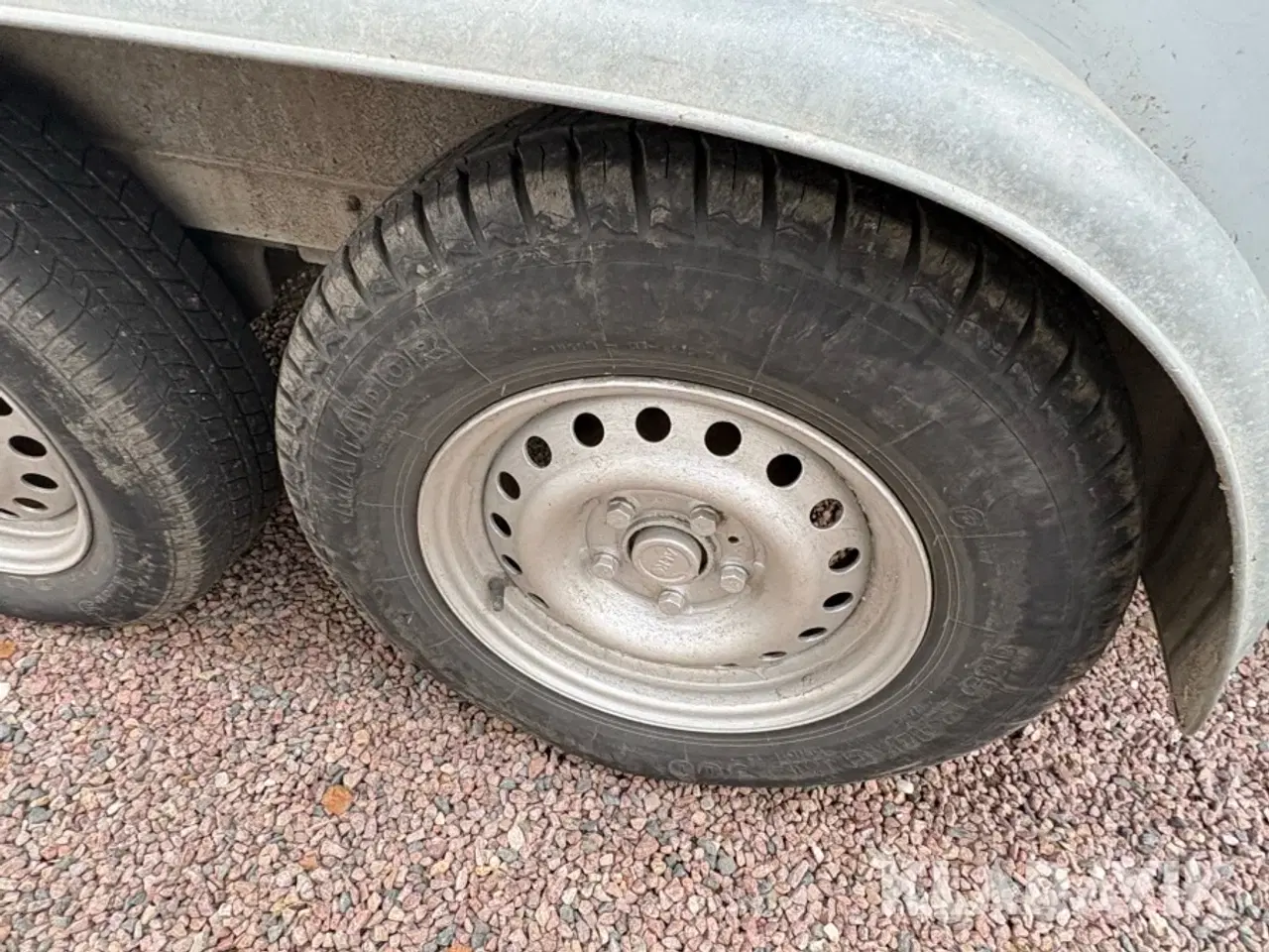 Billede 9 - Hestetrailer Maro Selandia