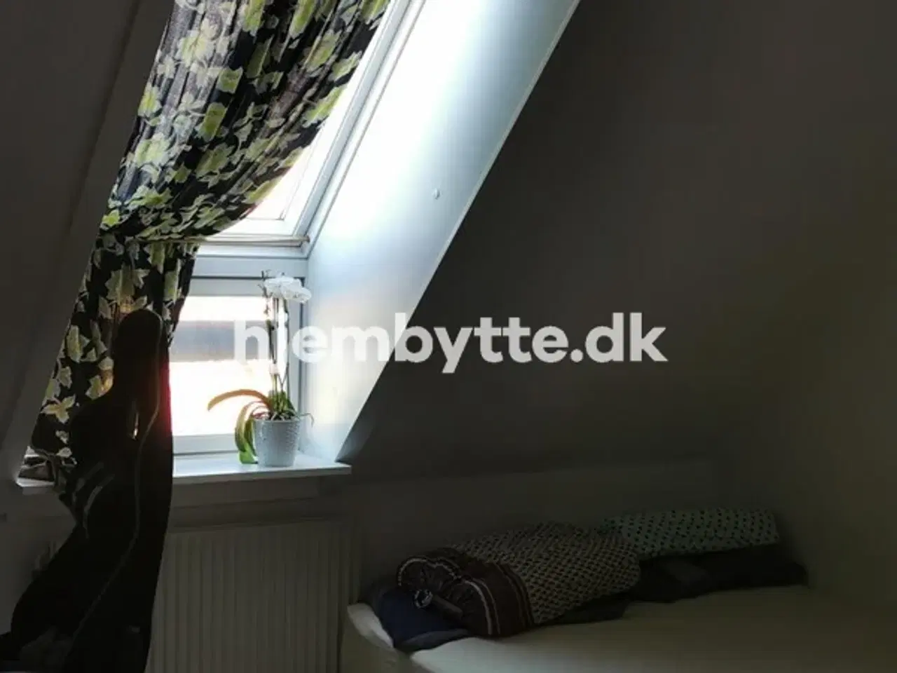 Billede 3 - Hjembytte - HoldkærsAger