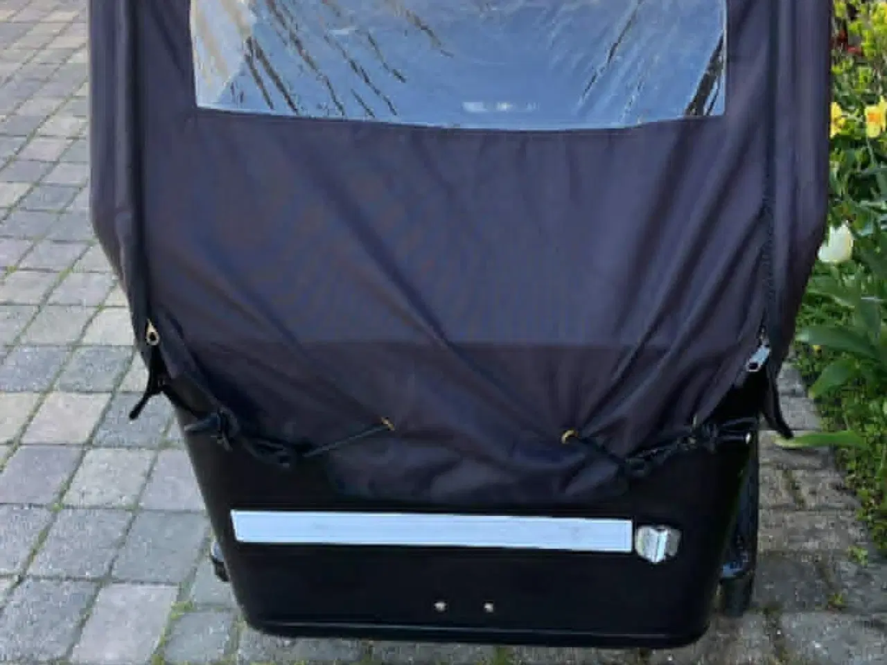 Billede 2 - SMUK EL SCO