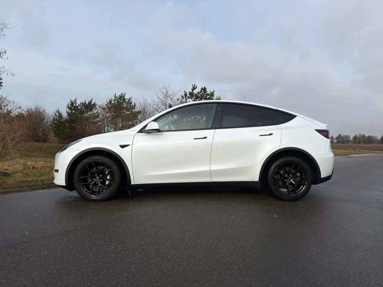Billede 8 - Tesla Model Y  Long Range AWD