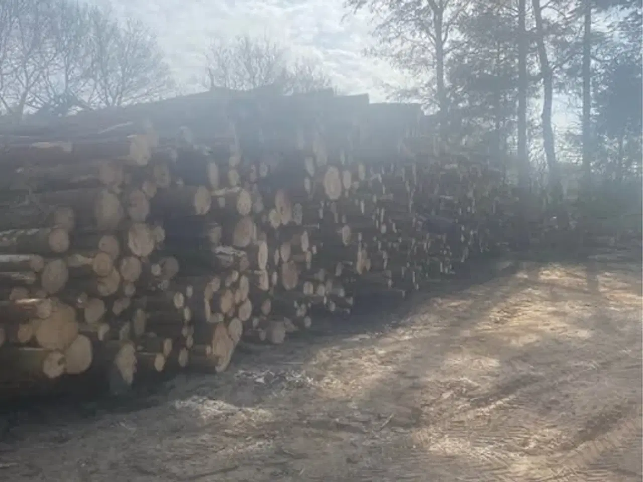 Billede 1 - Brænde sælges både gran og blandet løv 