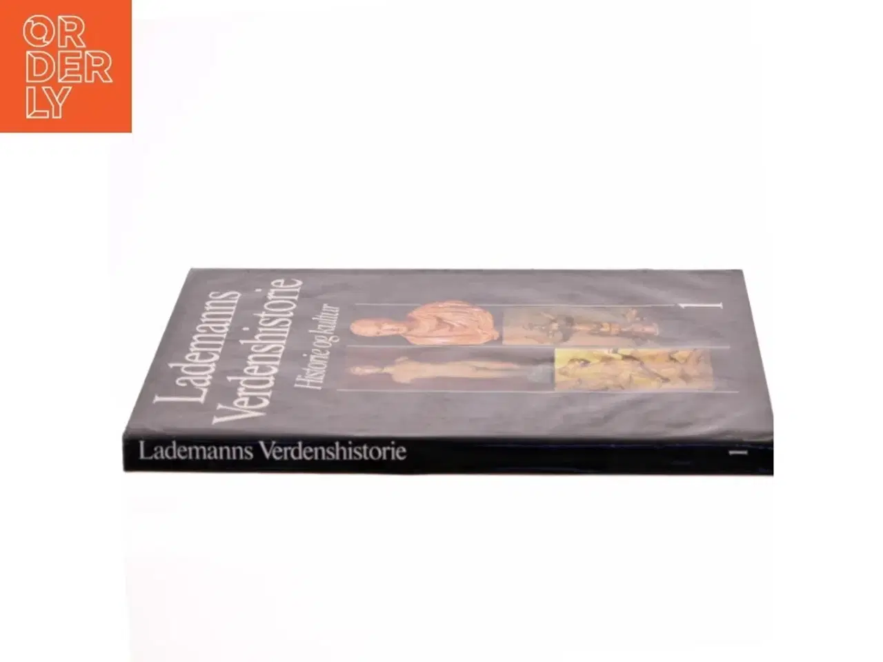 Billede 2 - AI fejlede. Beskriv manuelt.