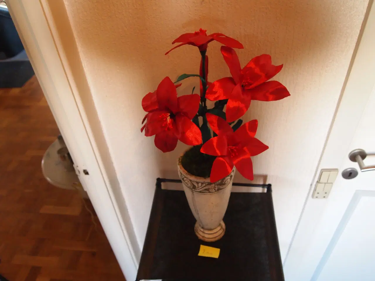 Billede 16 - evighedsblomster