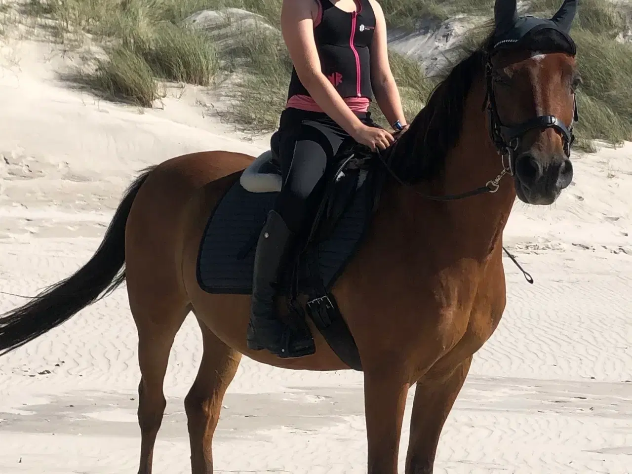 Billede 2 - Sødeste børnepony søger ny familie. 