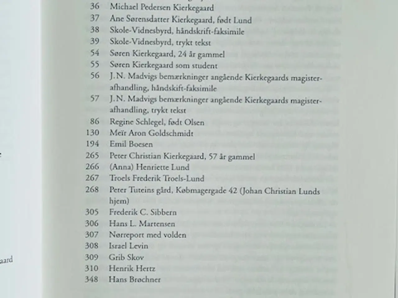 Billede 5 - Søren Kierkegaard truffet 