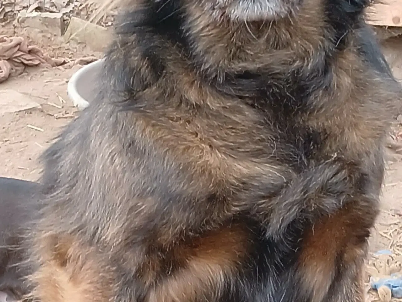 Billede 8 - Livsglade Joy 🩷