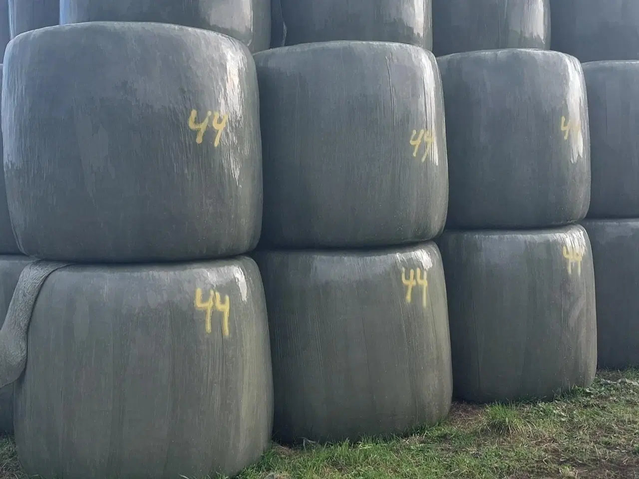 Billede 2 - Wrap tørt/groft kløvergræs (økologisk)