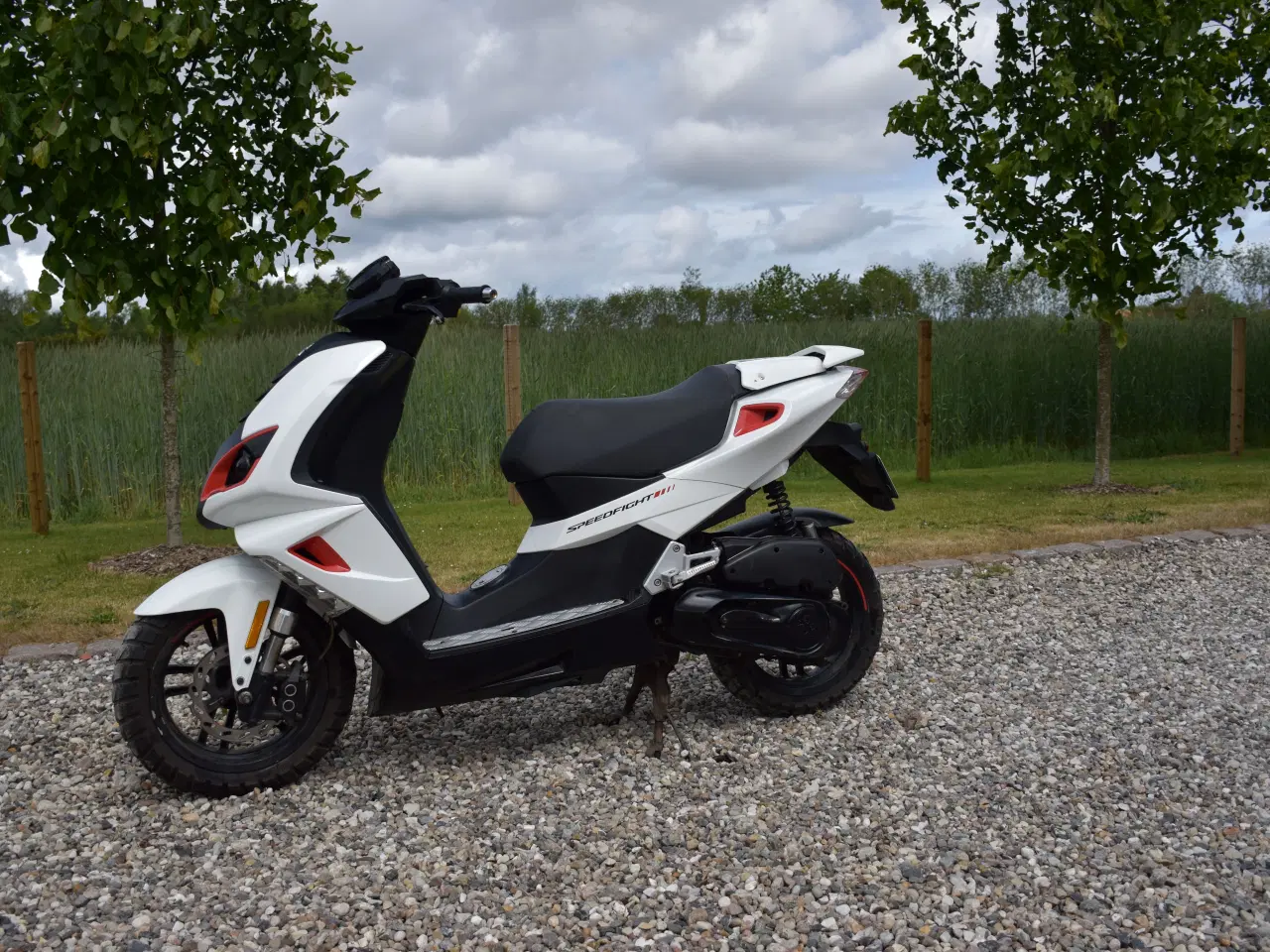 Billede 1 - PEUGEOT SPEEDFIGHT 3