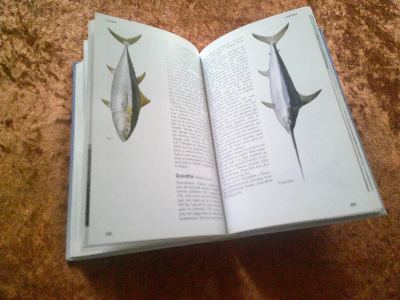 Billede 2 - Lystfiskerens felthåndbog, Steen Ulnits,