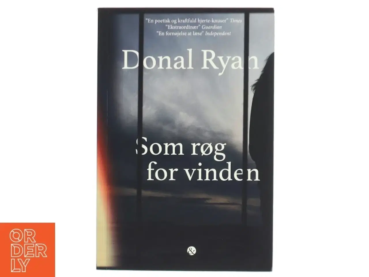 Billede 1 - Som røg for vinden af Donal Ryan (Bog)