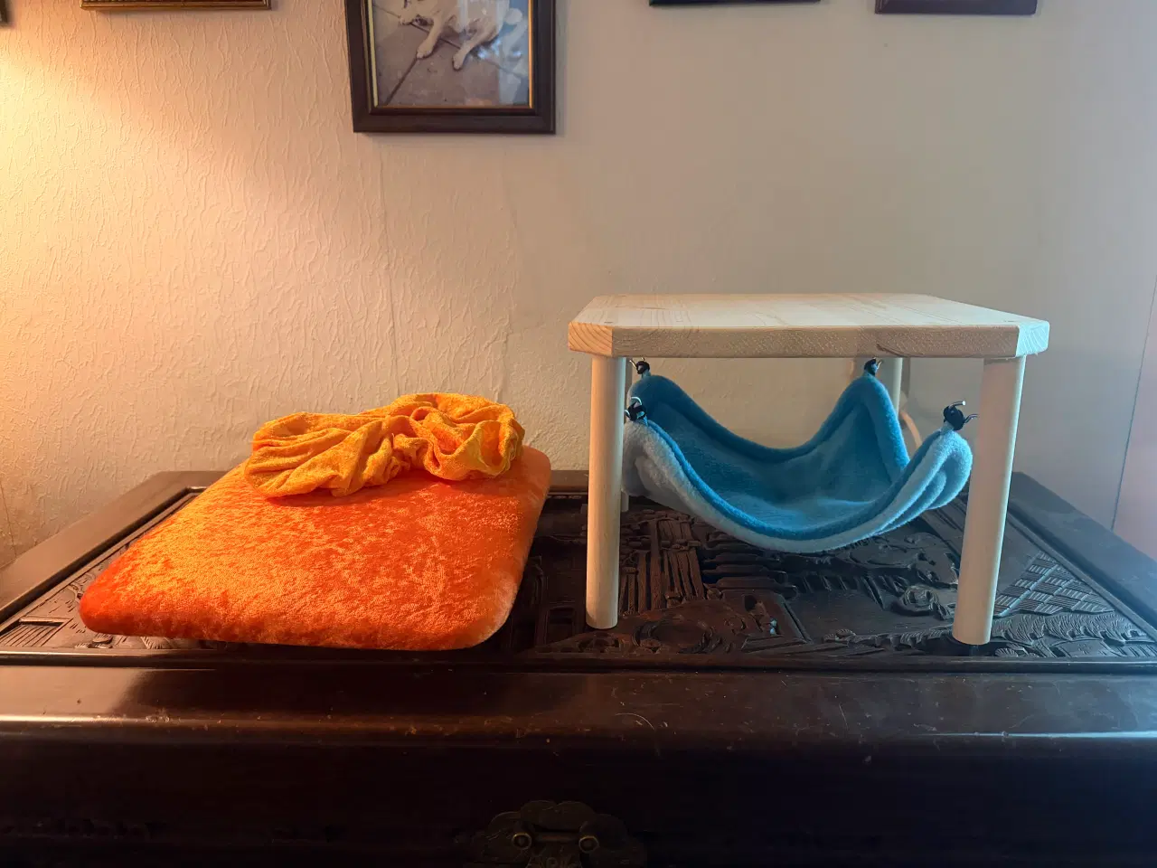 Billede 1 - Til marsvin