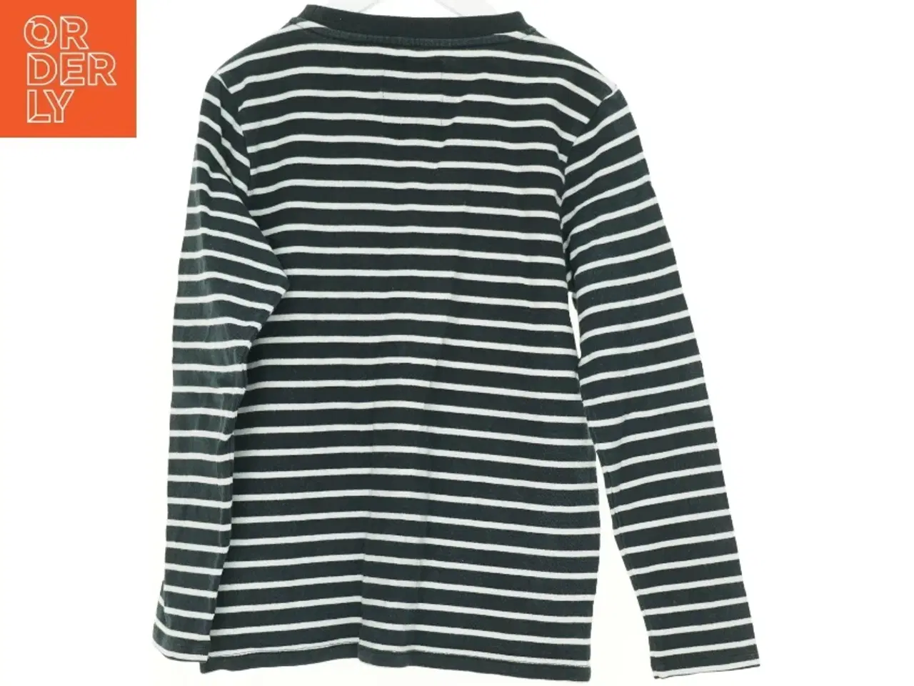 Billede 2 - Sweatshirt fra Hound (str. 152 cm)