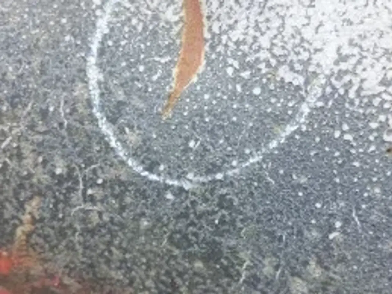 Billede 25 - Massey Ferguson 7280 Tømmerør 6.0M D28887264