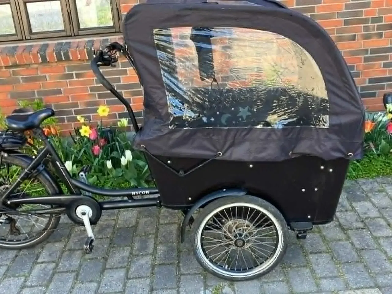 Billede 1 - SMUK EL SCO