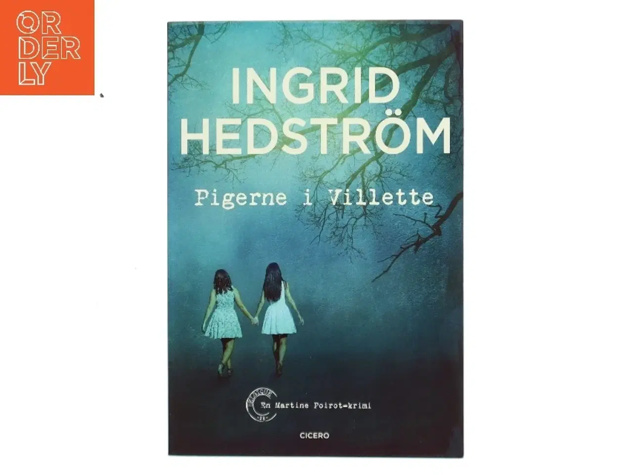 Billede 1 - Pigerne i Villette af Ingrid Hedstrm (Bog)