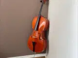 Cello medium sized (UDLEJES)