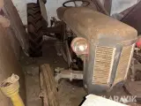 Veteran Traktor Massey Ferguson - 5