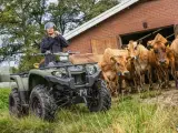 Yamaha Kodiak 450 ESP - Ikke Traktor - 3