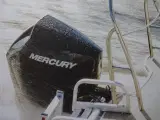 MERCURY 200 EFI. V6. JUBI-PRIS.