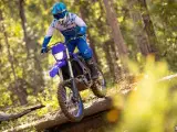 Yamaha WR 250 F - 2