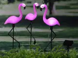 Soldrevet havelampe Flamingo 3 stk.