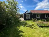 Kolonihave i Esbjerg - 2