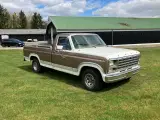 FORD F150 Pick Up