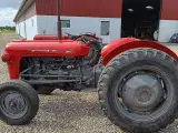 massey ferguson 35 Benzin - 4