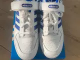 Adidas Forum (unisex)
