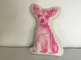 Pude med Chihuahua