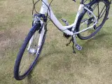 Stevens Trekking Dame Cykel