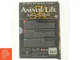 Animal life, young and wild DVD - 3