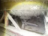 - - - Glasfibertank ca. 40 tons - 2