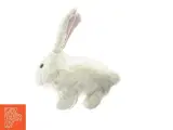 Kanin bamse med elektronik fra Norstar (str. 20 x 13 cm) - 4