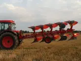 Unia Ibis XMS 3+1 - 3