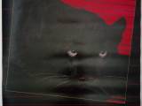 Panther 10 kr pr stk eller 3 for 20 kr