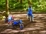 Yamaha PW 50 - 2