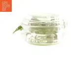 Duncan Limelight yo-yo fra Duncan (str. 6x3 cm) - 2