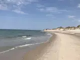 Lejlighed