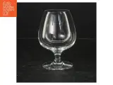 Iittala Avec cognacglas fra Avec (str. Ø. 6 cm. længde, 13 cm) - 2