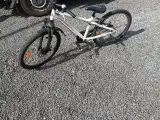 Nishiki 24