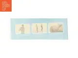 Maksimal kondition  fra DVD - 3