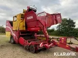 Kartoffeloptager Grimme SE 170-60 - 4