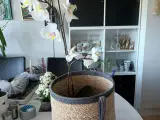 FLOT Kurv med 2 Hanke 28x28 cm