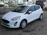 Ford Fiesta 1,5 TDCi 85 Trend Van - 3