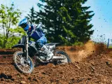 Yamaha YZ 450 F Monster Energy Yamaha Racing Edition - 5
